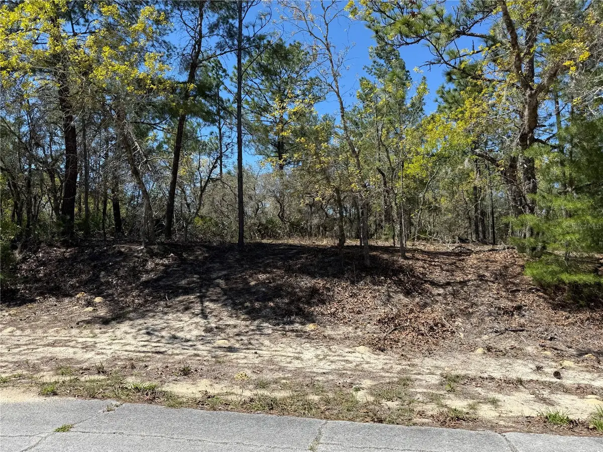 10776 N Moreno Drive, Dunnellon, FL 34433 - #1