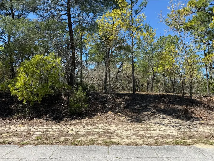 10776 N Moreno Drive, Dunnellon, FL 34433 - #2