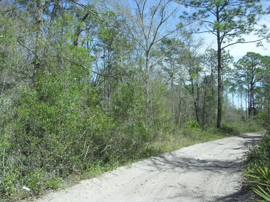 Tract 418 SW 158th Lane, Dunnellon, FL 34432 - #2