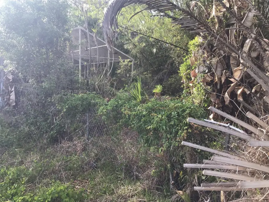 12451 SE 115th Avenue, Belleview, FL 34420 - #3