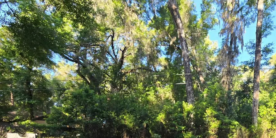 Se 28th Ct., Summerfield, FL 34491 - #2