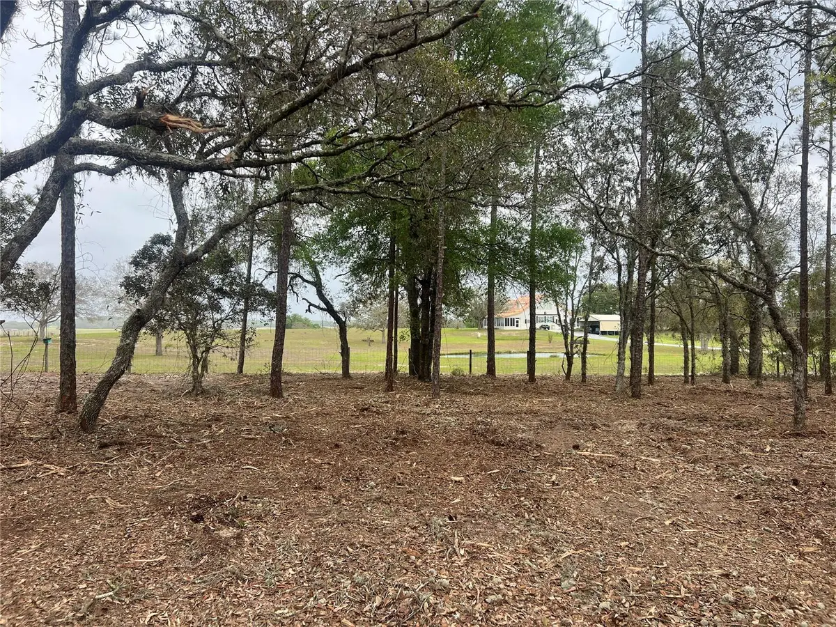 Lot 25 SW Timberlake Road, Dunnellon, FL 34431 - #1