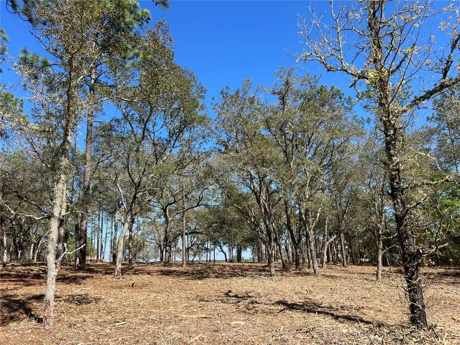 Lot 25 SW Timberlake Road, Dunnellon, FL 34431 - #2