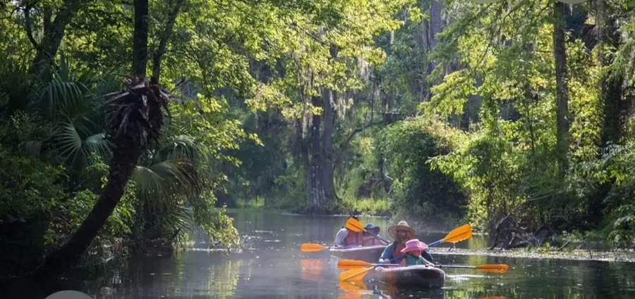 14263 NE 252nd Court Road #181, Salt Springs, FL 32134 - #3