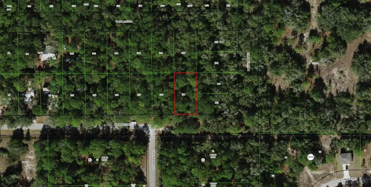 2797 W Grapevine Court, Dunnellon, FL 34433 - #1