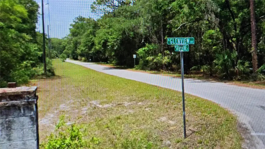 2797 W Grapevine Court, Dunnellon, FL 34433 - #3