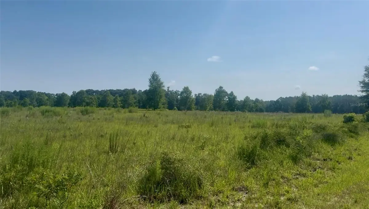 974 SW Sherlock Terrace, Lake City, FL 32024 - #1