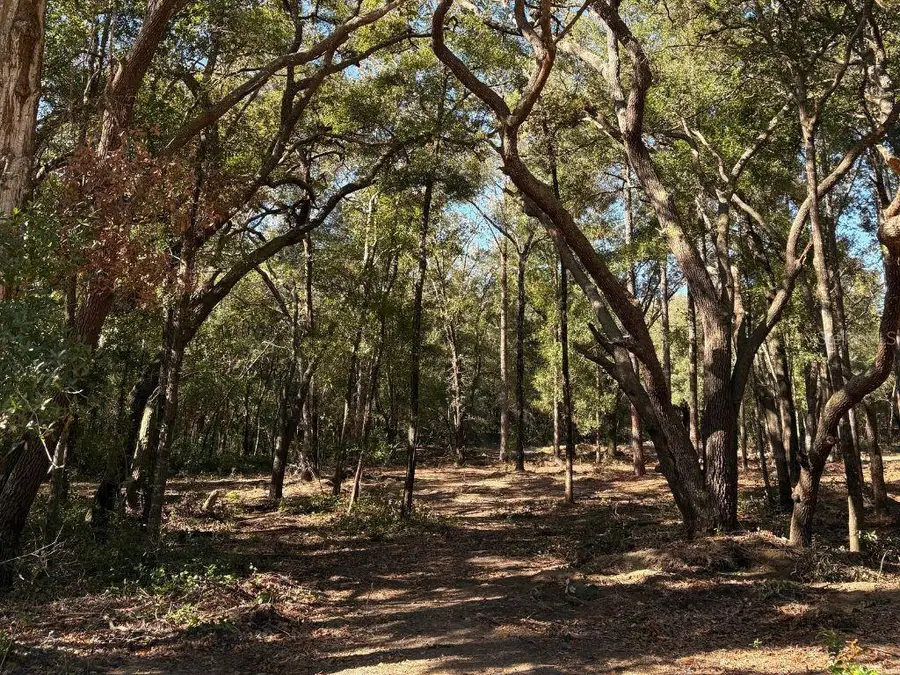 10686 N Ocean Drive, Citrus Springs, FL 34434 - #2