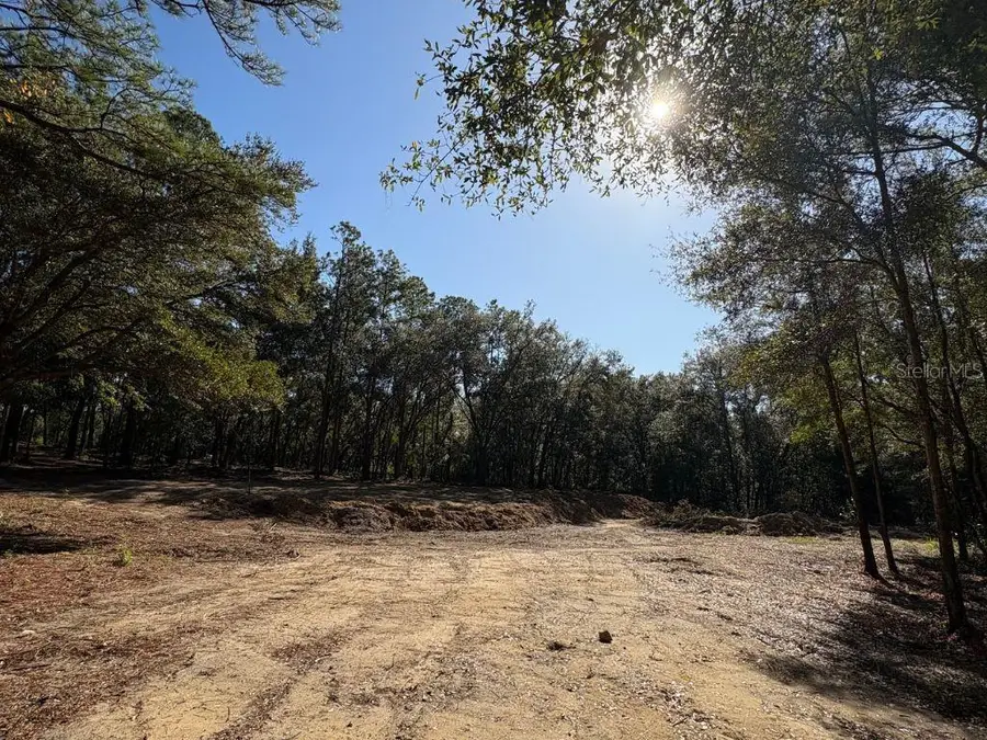 10686 N Ocean Drive, Citrus Springs, FL 34434 - #3