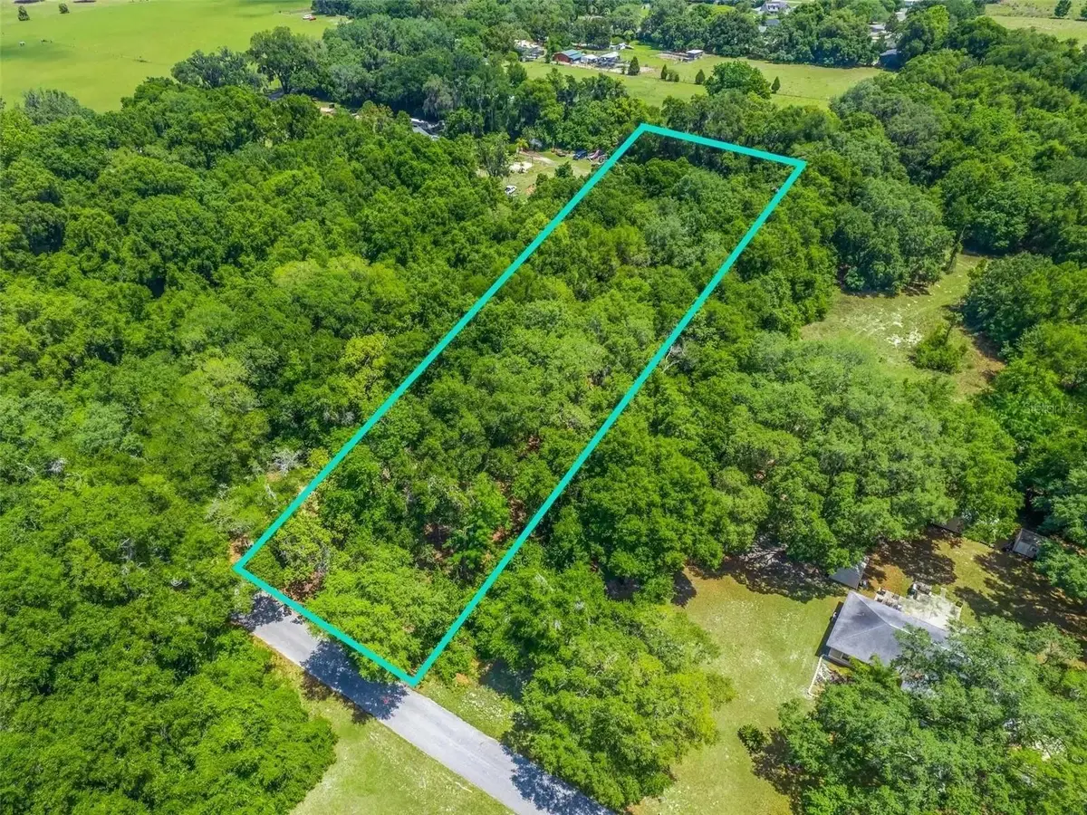 TBD S St Clair Street, Wildwood, FL 34785 - #1