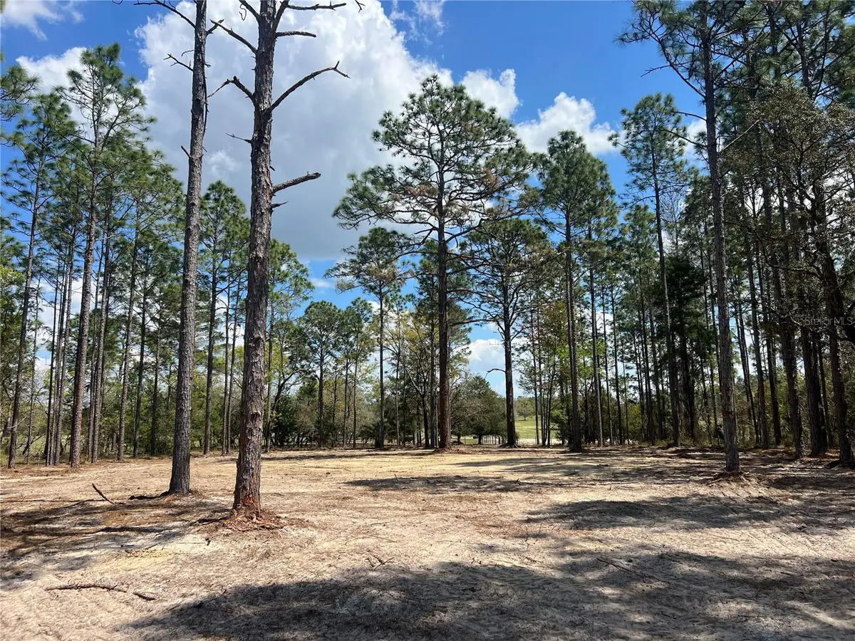 16 SE 136 Terrace, Dunnellon, FL 34431 - #1