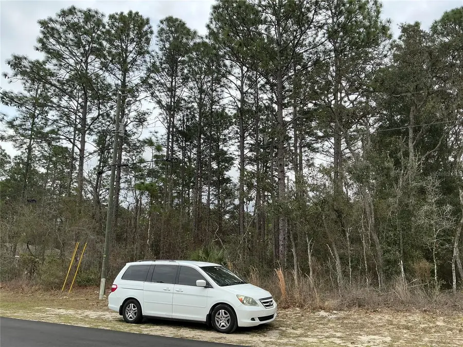 SW 79th Terrace, Ocala, FL 34473 - #3