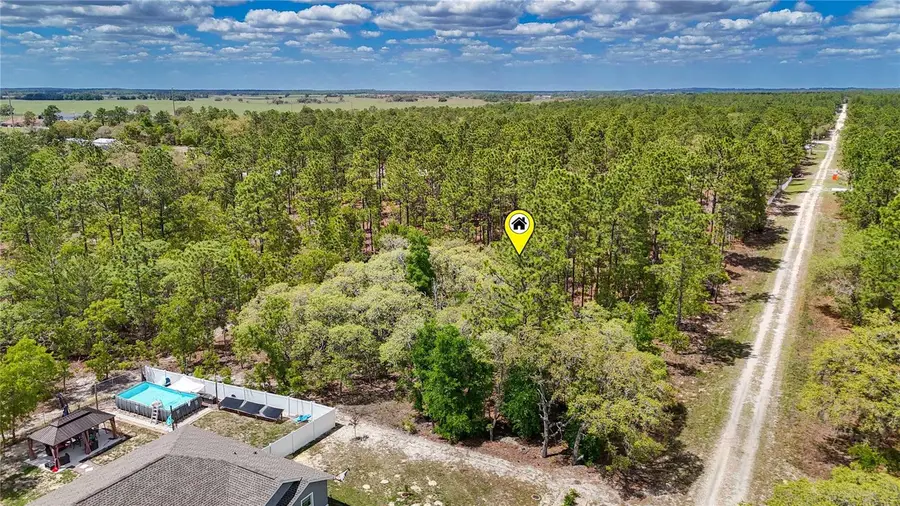 TBD SW 137th Court Road, Dunnellon, FL 34432 - #3