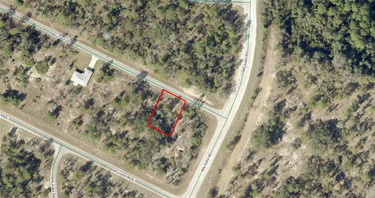 TBD Malauka Drive, Ocklawaha, FL 32179 - #1