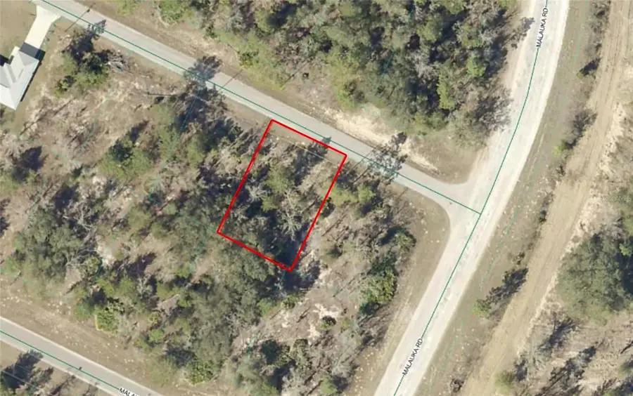 TBD Malauka Drive, Ocklawaha, FL 32179 - #2