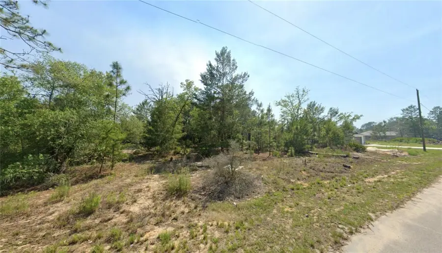 TBD Malauka Drive, Ocklawaha, FL 32179 - #3