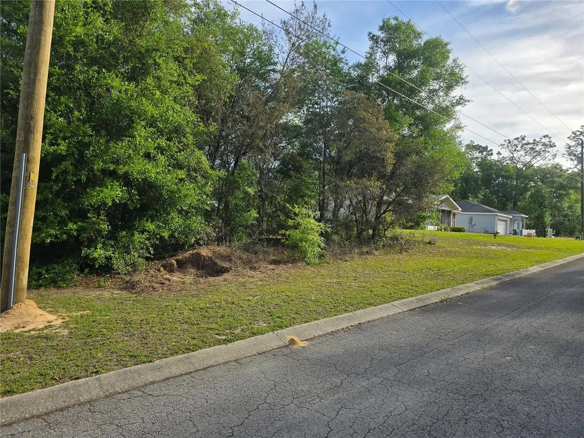 6659 E Grayson Street, Inverness, FL 34452 - #1