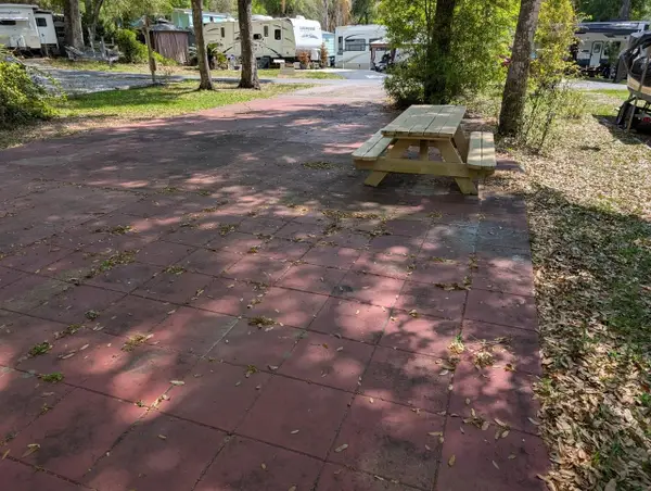 25215 NE 142nd Street, SALT SPRINGS, FL 32134