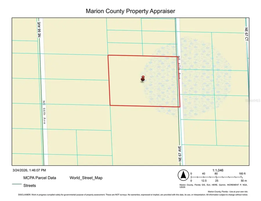 Tbd Ne 66th Court, Citra, FL 32113 - #2