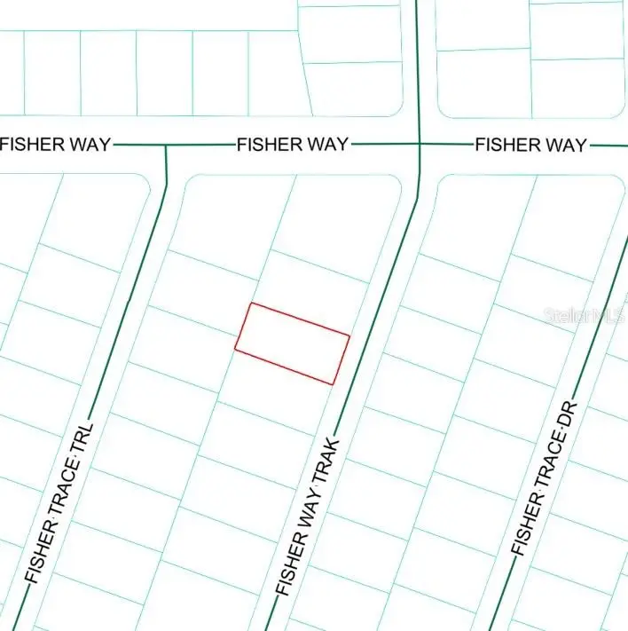 Lot 22 Fisher Way Track, Ocklawaha, FL 32179 - #2