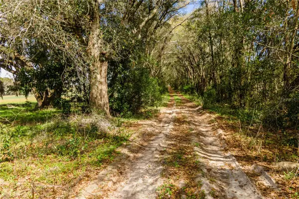 TBD SW 298 Street, NEWBERRY, FL 32669