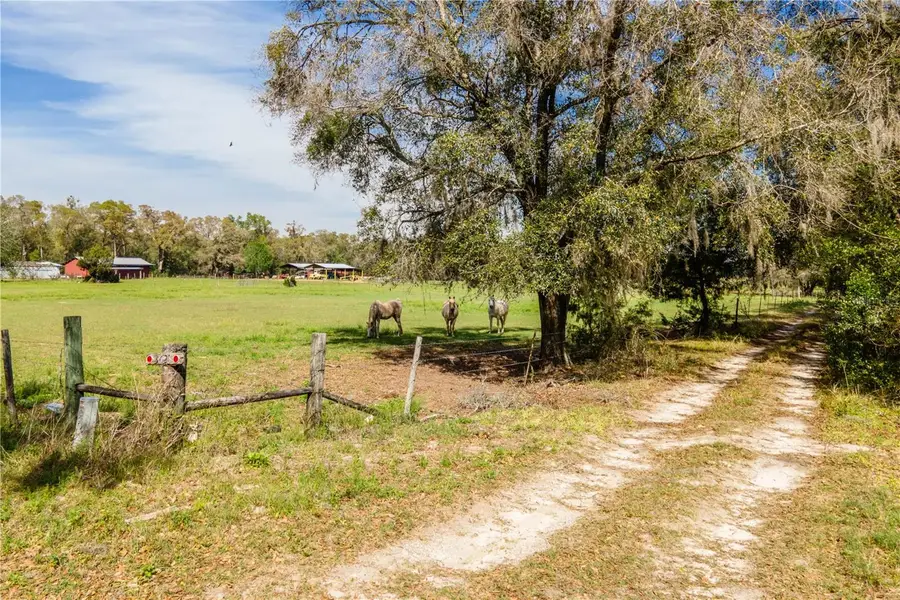 TBD SW 298 Street, Newberry, FL 32669 - #3