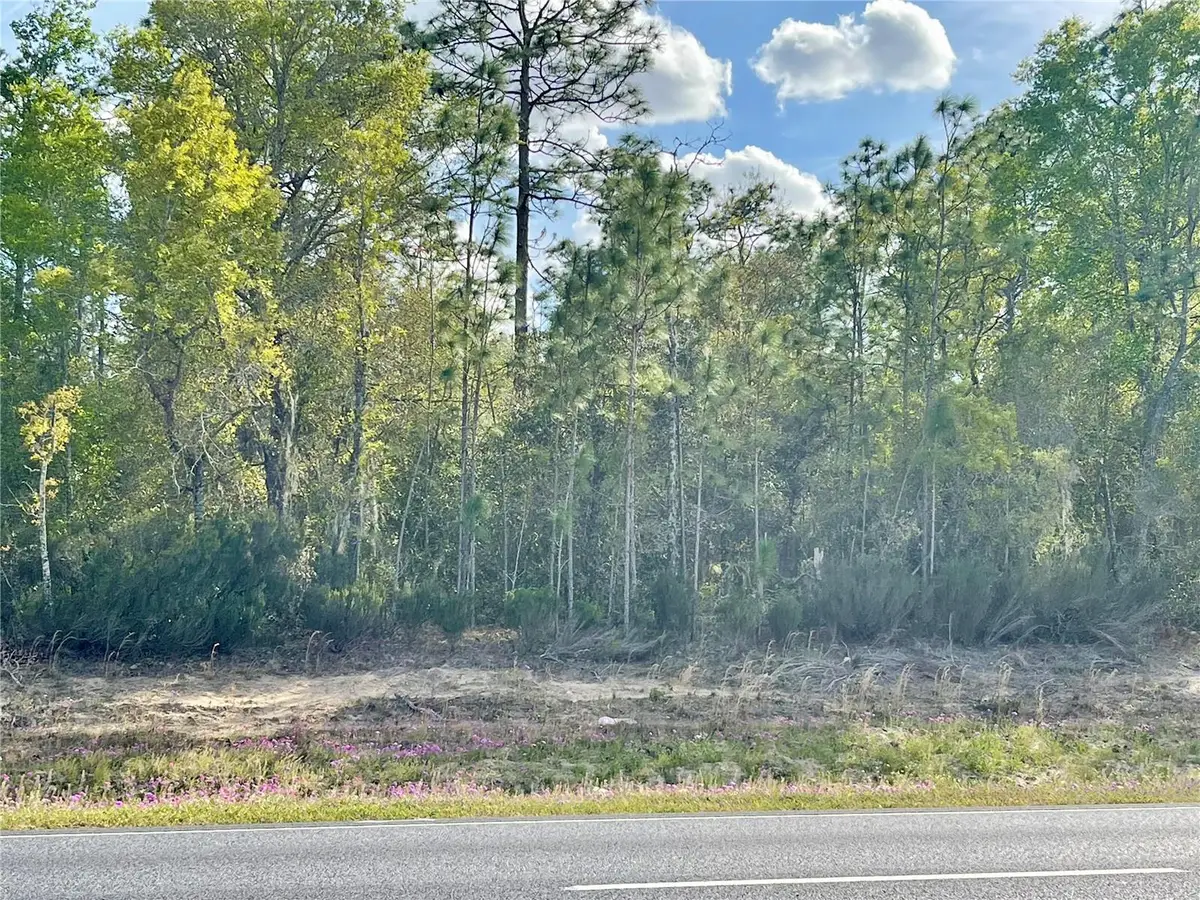 TBD NE Highway 27 Alt, Williston, FL 32696 - #1