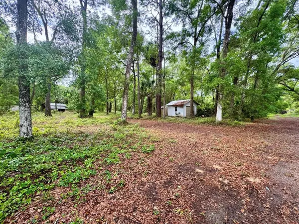 23714 NE 119th Place, SALT SPRINGS, FL 32134