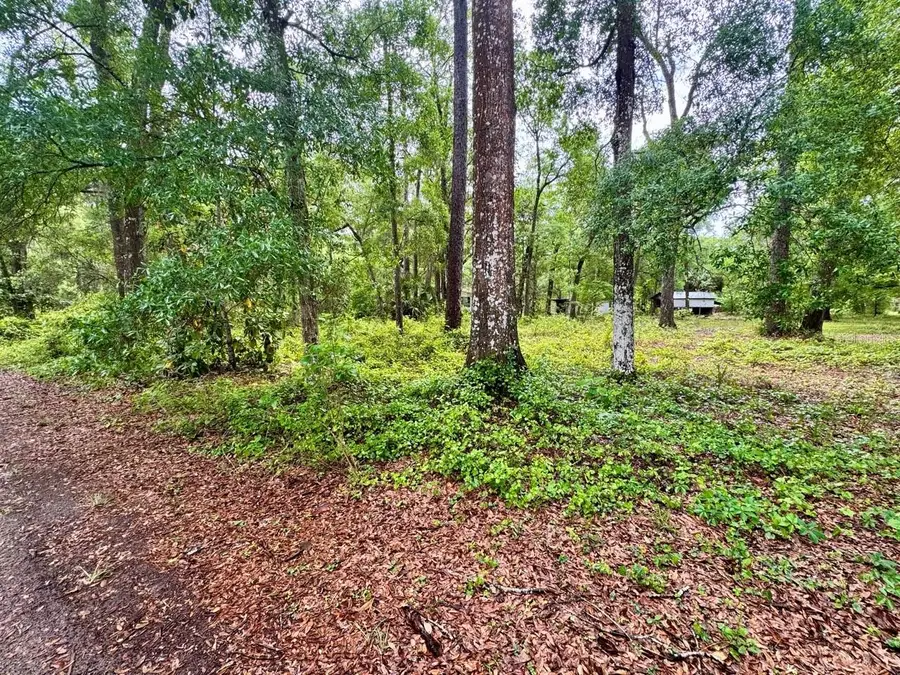 23714 NE 119th Place, Salt Springs, FL 32134 - #2