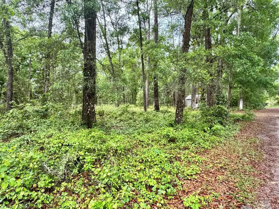 23714 NE 119th Place, Salt Springs, FL 32134 - #3