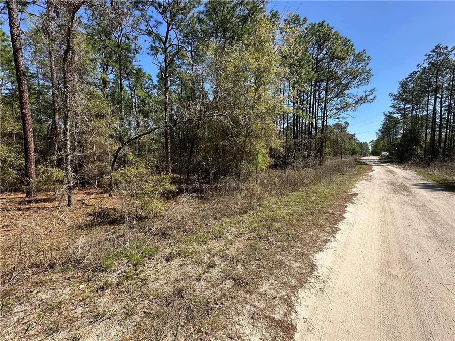 TBD SW 29th Street, Ocala, FL 34473 - #2