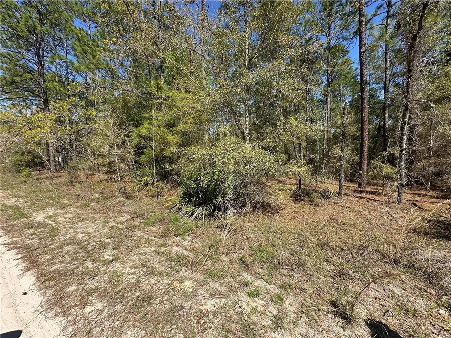 TBD SW 29th Street, Ocala, FL 34473 - #3