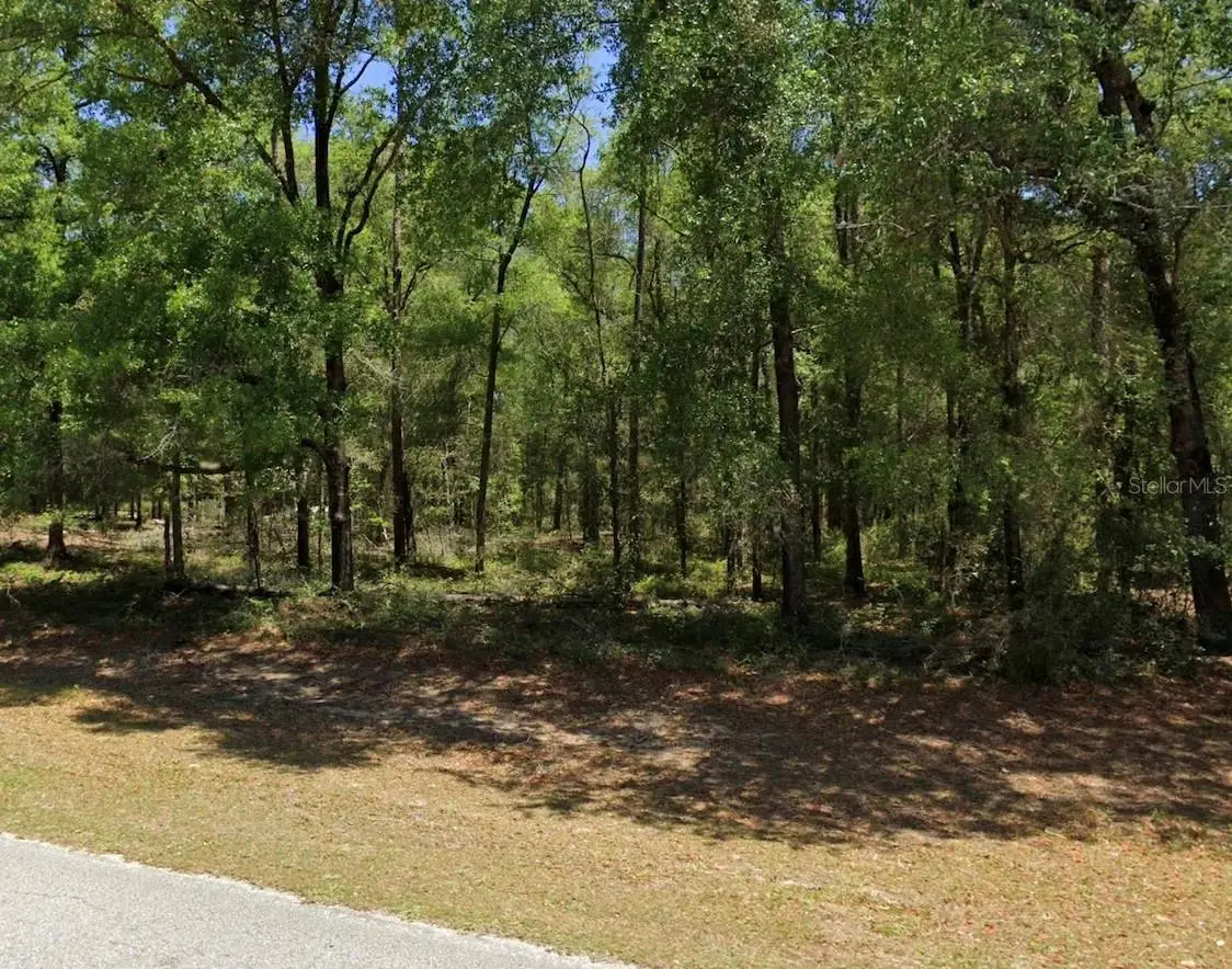 00 SW 102nd Street Road, Dunnellon, FL 34432 - #1