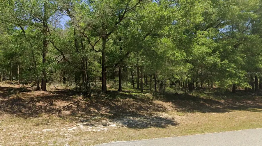 00 SW 102nd Street Road, Dunnellon, FL 34432 - #2