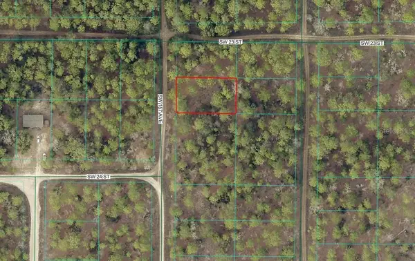 TBD SW 157th Avenue #4, OCALA, FL 34481