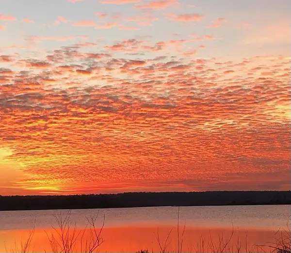 23797 NE 189th Street, FORT MC COY, FL 32134