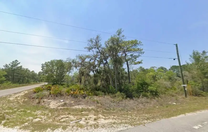 Lot 76 Fisher Loop, Ocklawaha, FL 32179 - #3