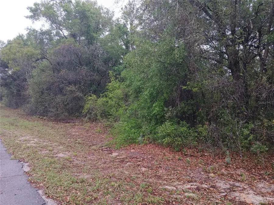 7851 N Vince Drive, Citrus Springs, FL 34434 - #2