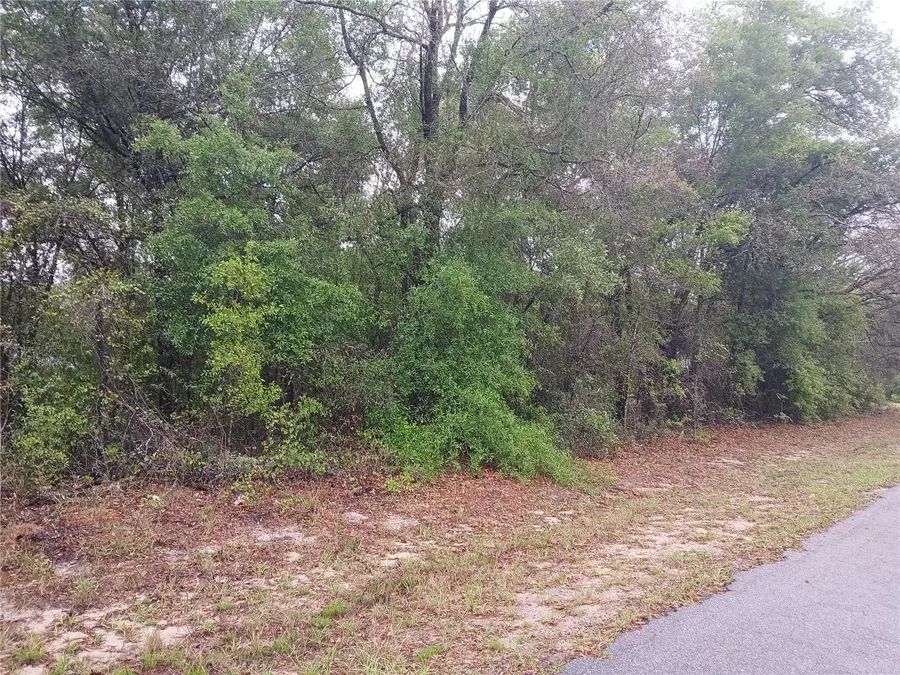 7851 N Vince Drive, Citrus Springs, FL 34434 - #3