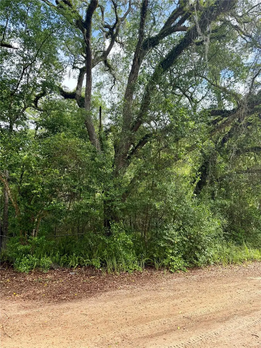 TBD NE 130 Place, Salt Springs, FL 32134 - #2