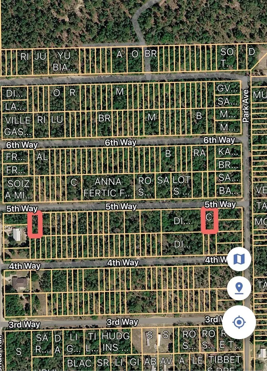 Tbt 5th Way, Interlachen, FL 32148 - #3