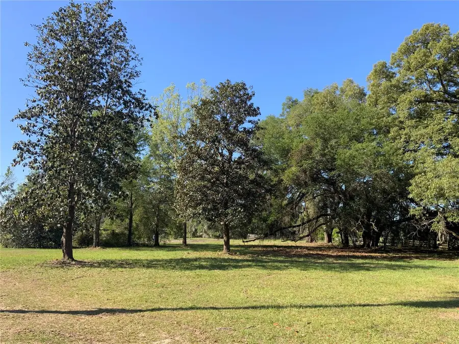 10919 NW 202nd Street, Alachua, FL 32615 - #2
