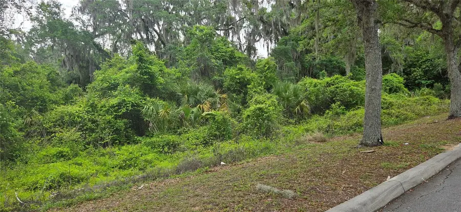 2392 N Heritage Oaks Path, Hernando, FL 34442 - #2