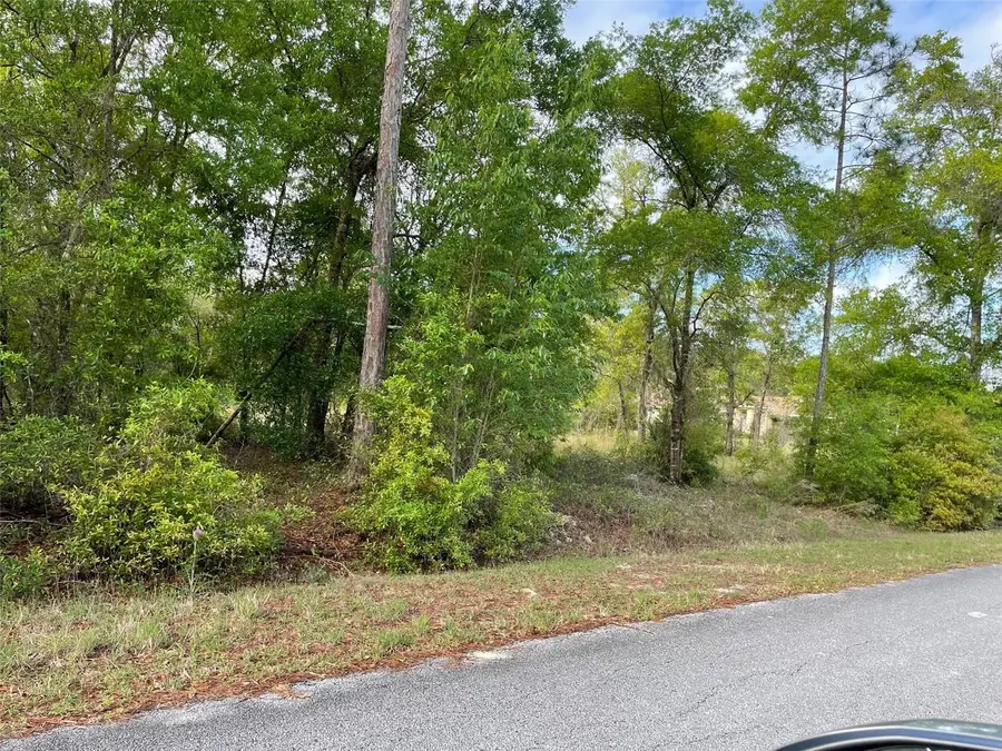 LOT 4 SW Lakeland Heights Avenue, Dunnellon, FL 34431 - #3