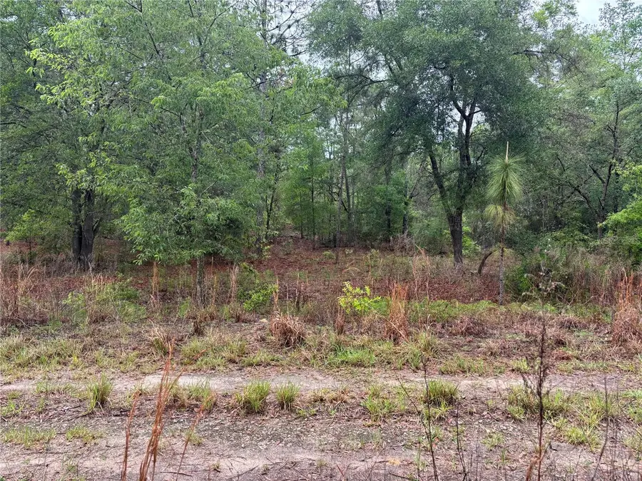 0000 SW 19th Place, Ocala, FL 34481 - #2