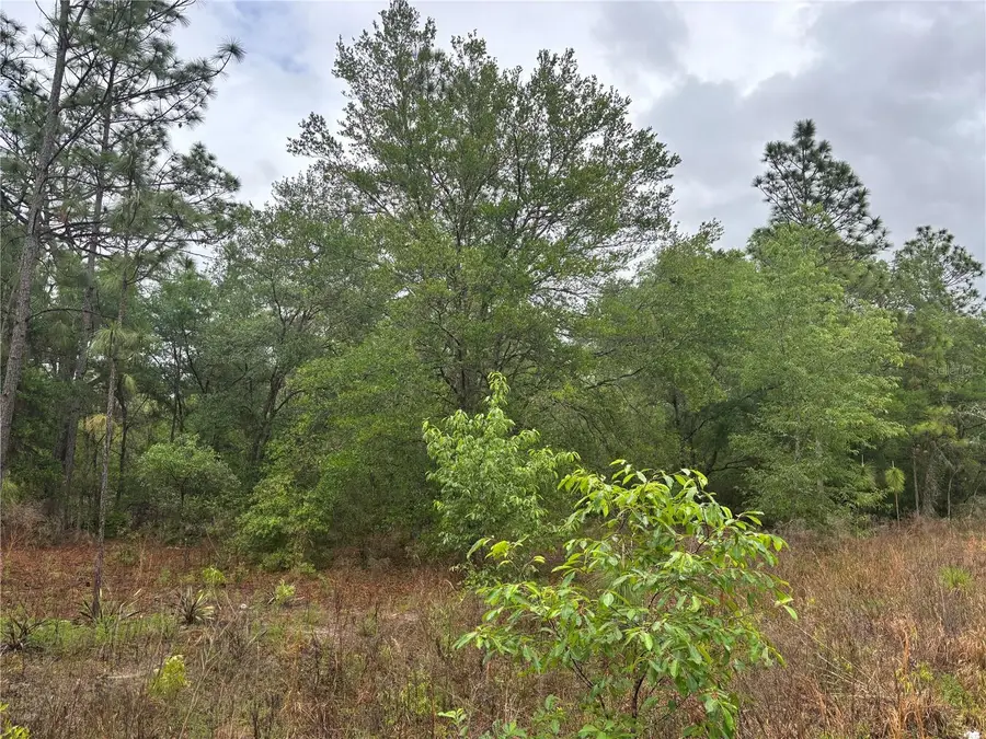 0000 SW 19th Place, Ocala, FL 34481 - #3