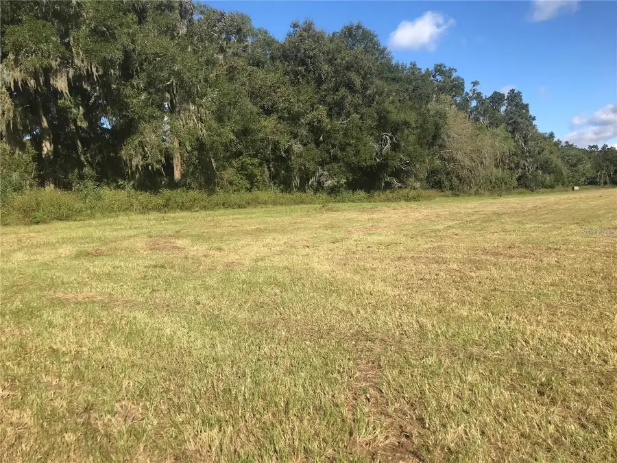 32nd Court, Reddick, FL 32686 - #3