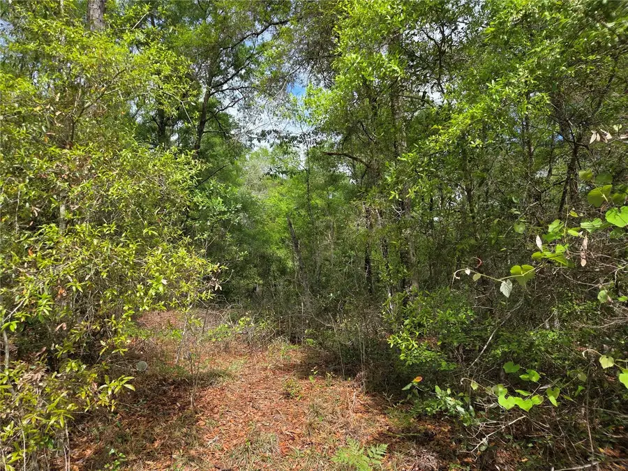 tbd NW 97th Court, Chiefland, FL 32626 - #3
