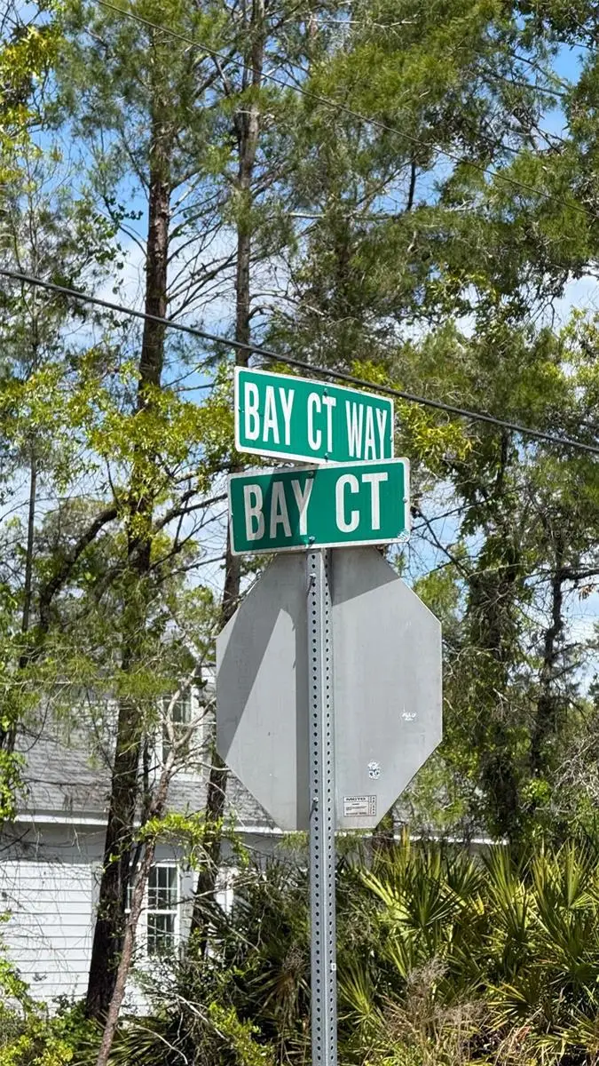 Lot 15 Bay Court, Ocklawaha, FL 32179 - #2