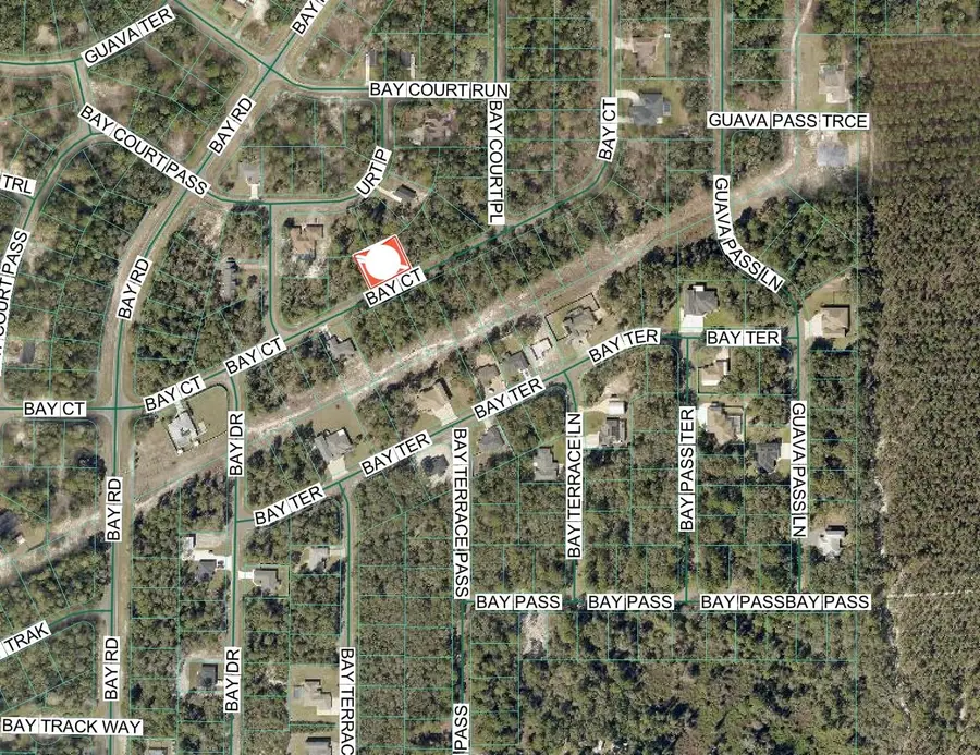 Lot 15 Bay Court, Ocklawaha, FL 32179 - #3